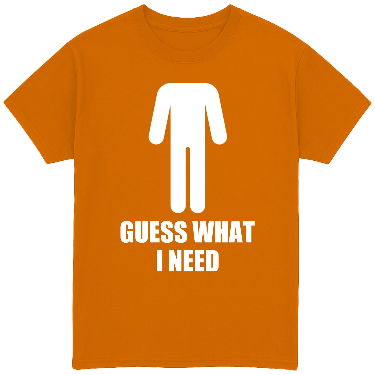 Guess What I Need T-Shirt