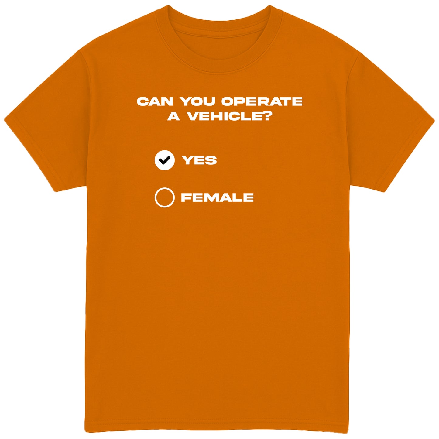 Can You Operate a Vehicle T-Shirt