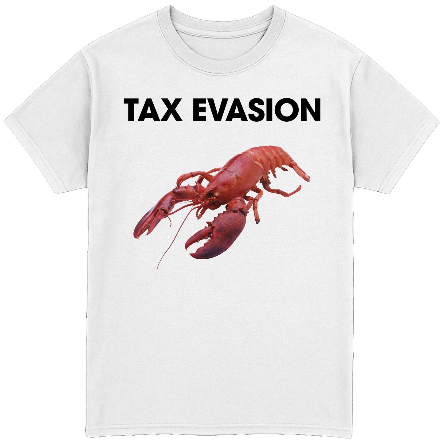 Tax Evasion T-Shirt