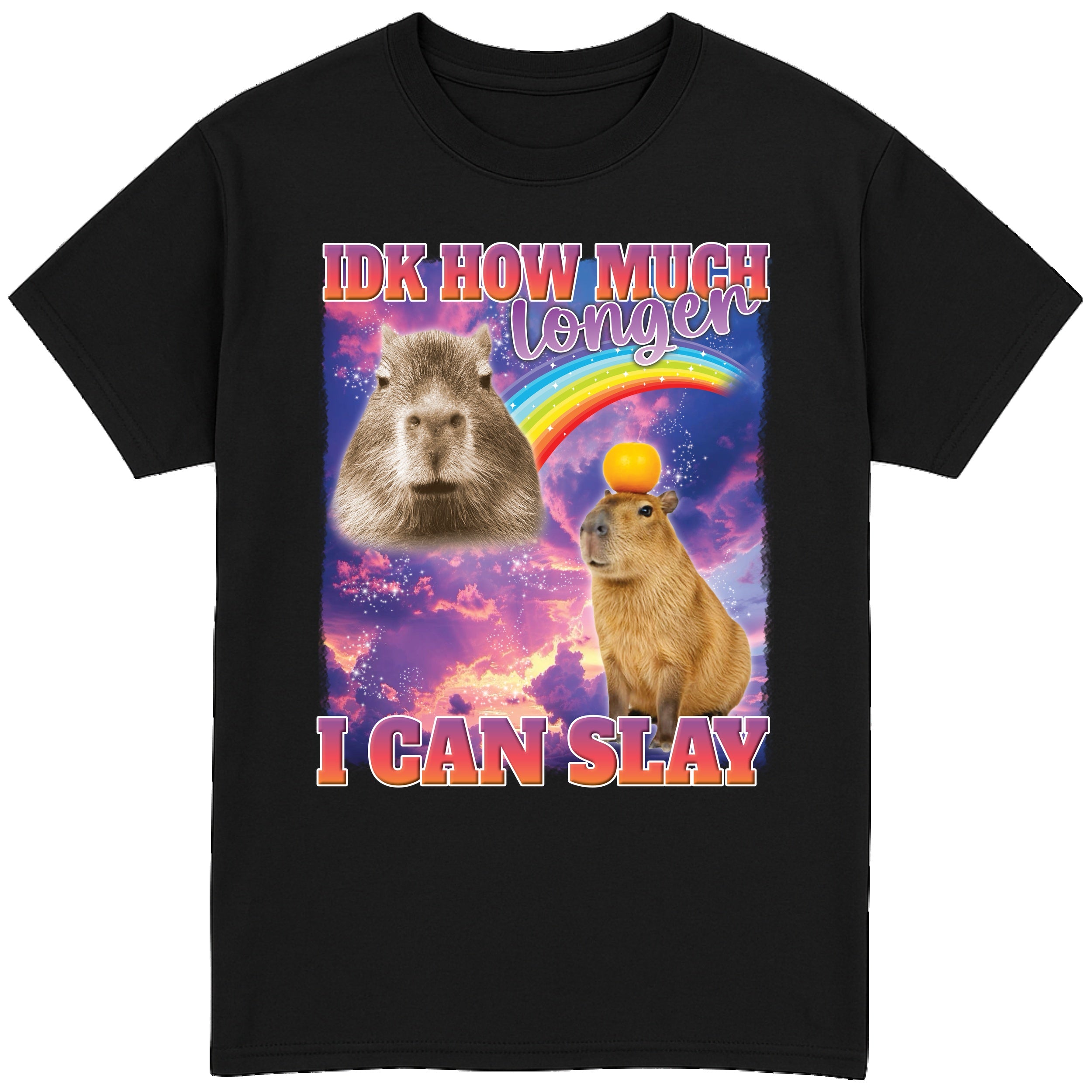 IDK How Much Longer I Can Slay T-Shirt
