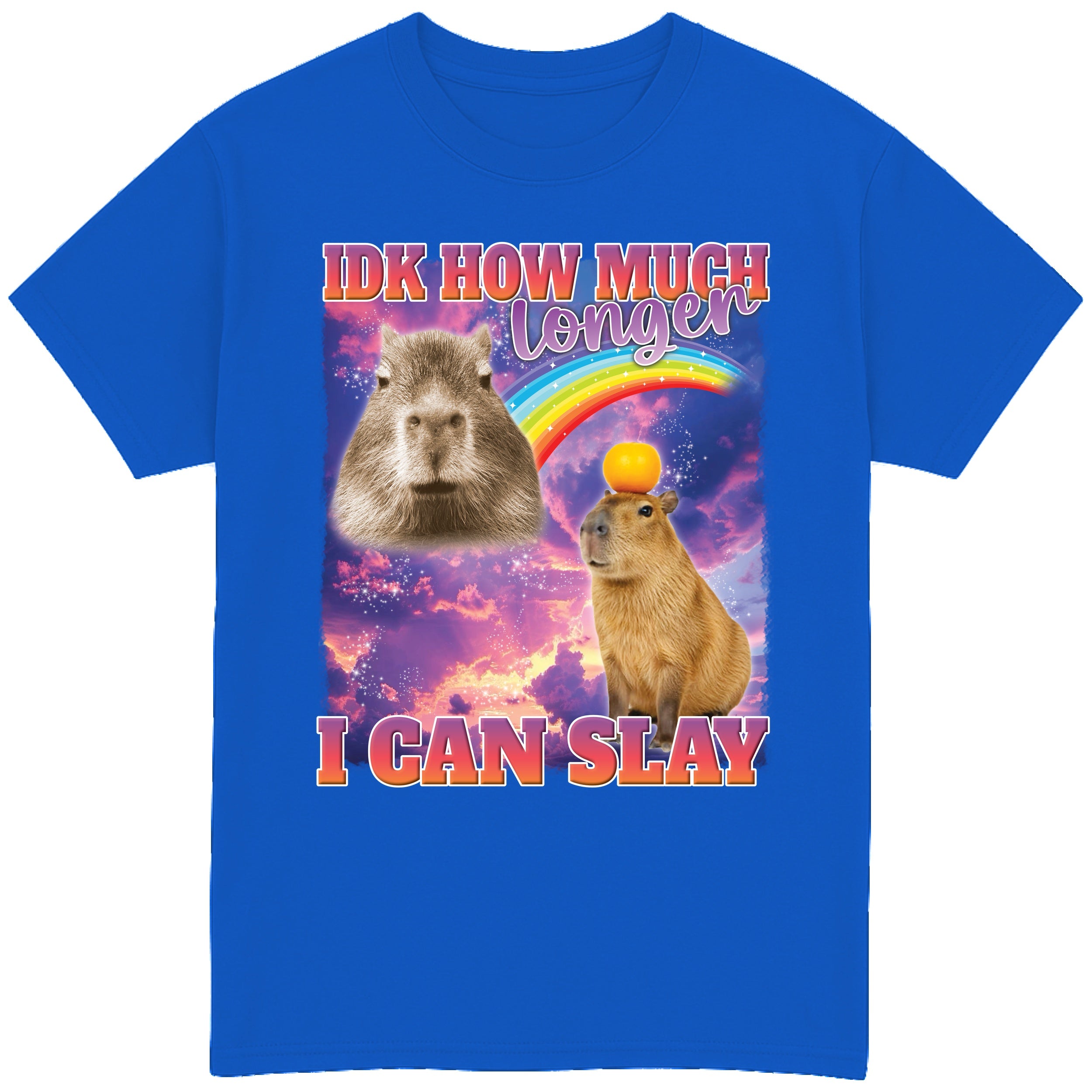 IDK How Much Longer I Can Slay T-Shirt
