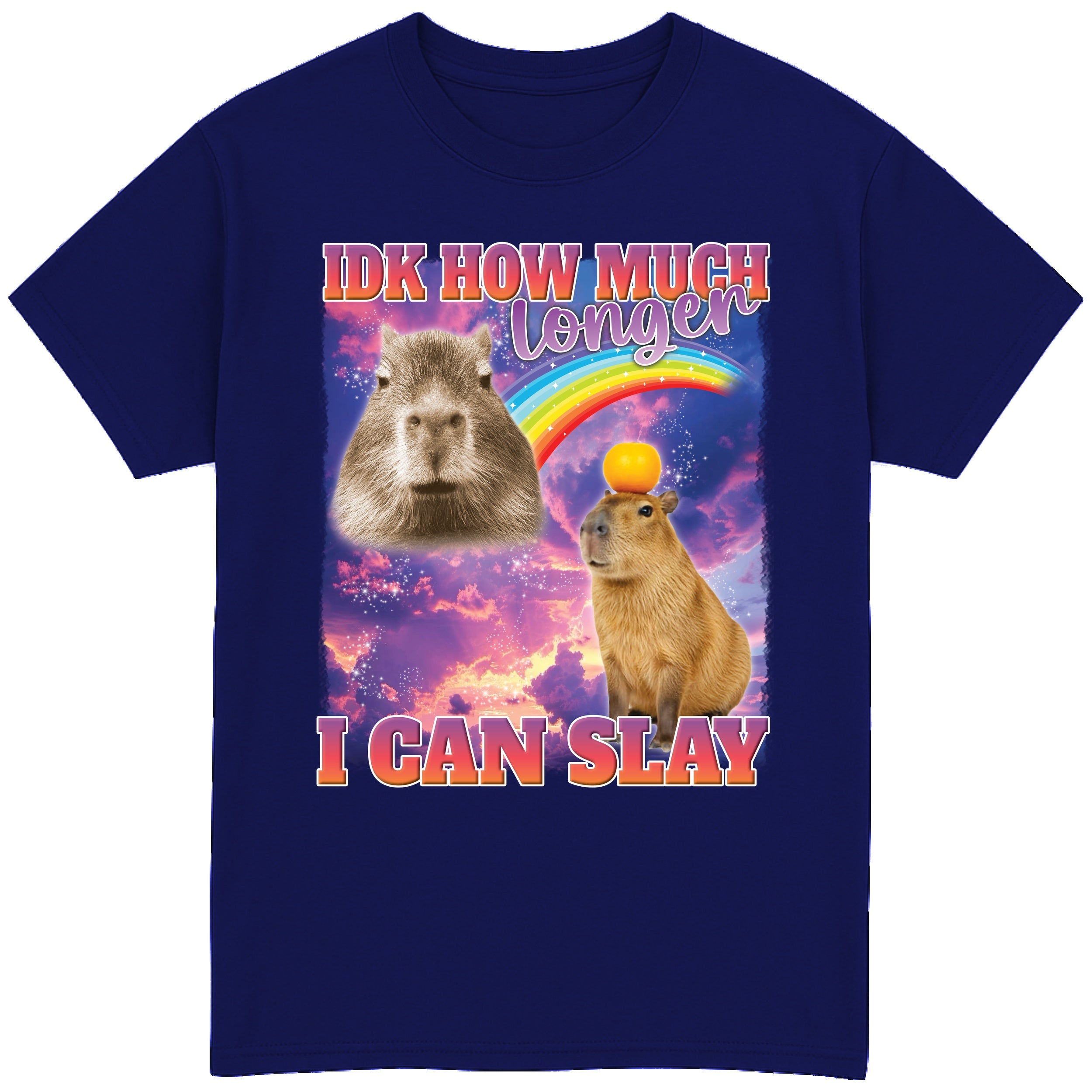 IDK How Much Longer I Can Slay T-Shirt
