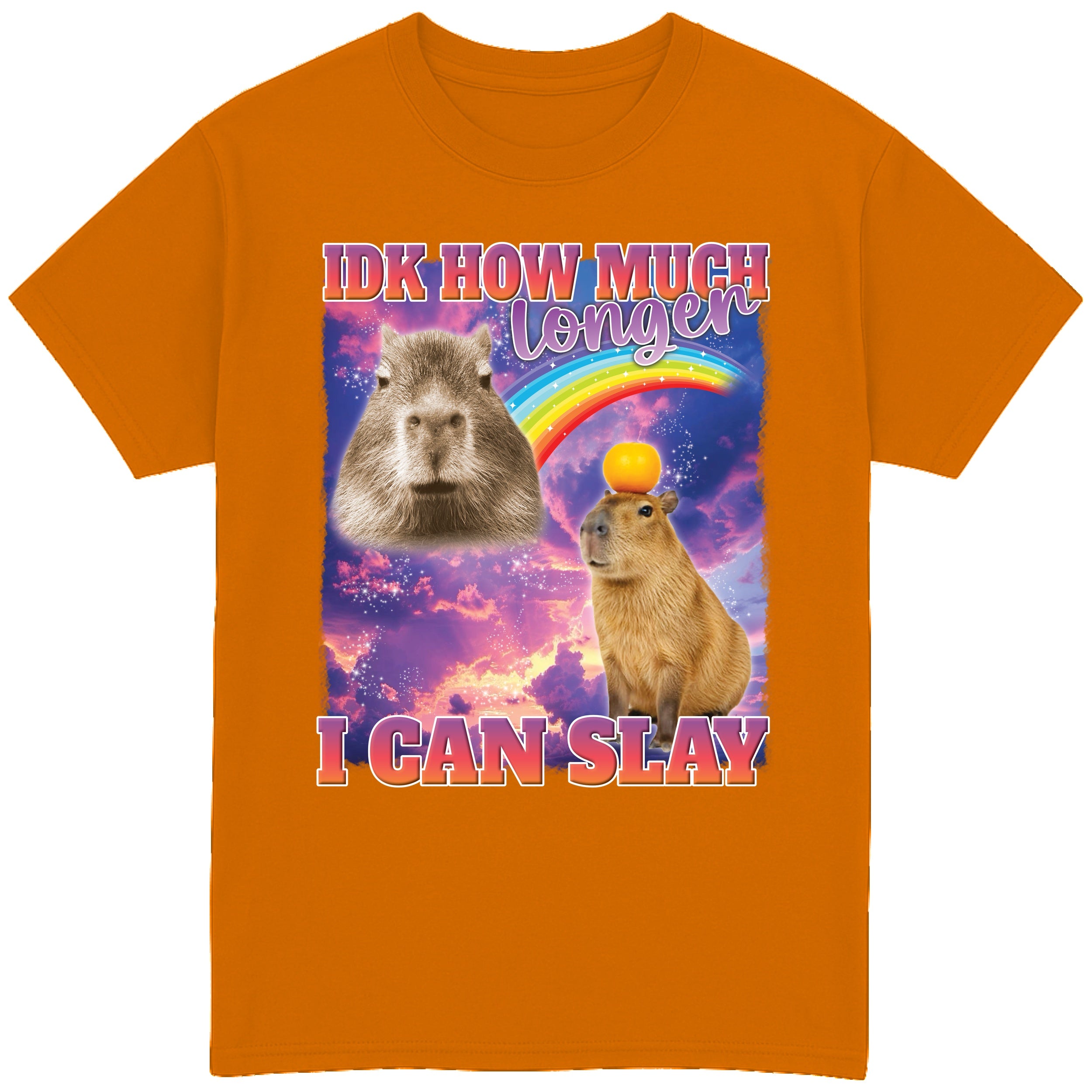 IDK How Much Longer I Can Slay T-Shirt