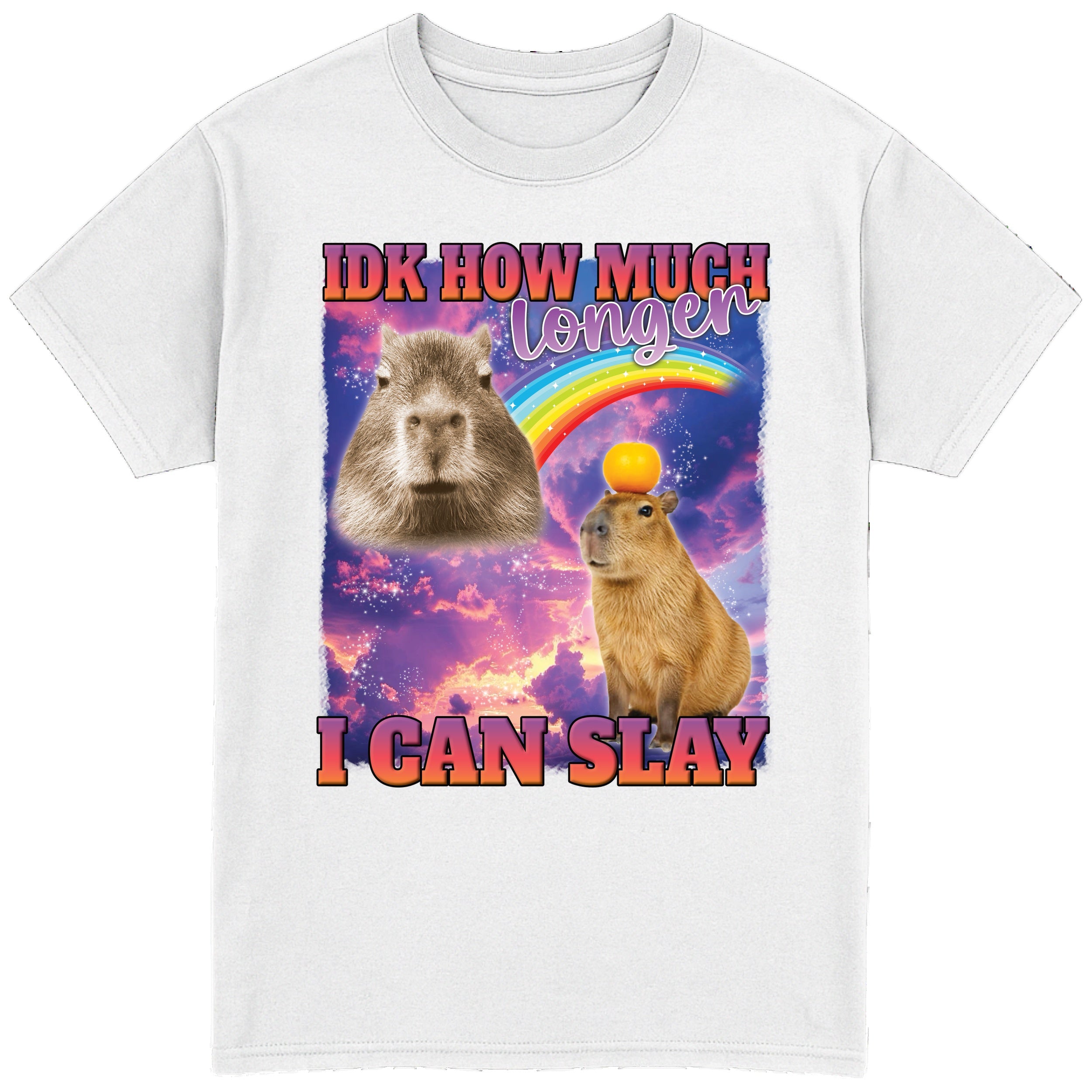 IDK How Much Longer I Can Slay T-Shirt