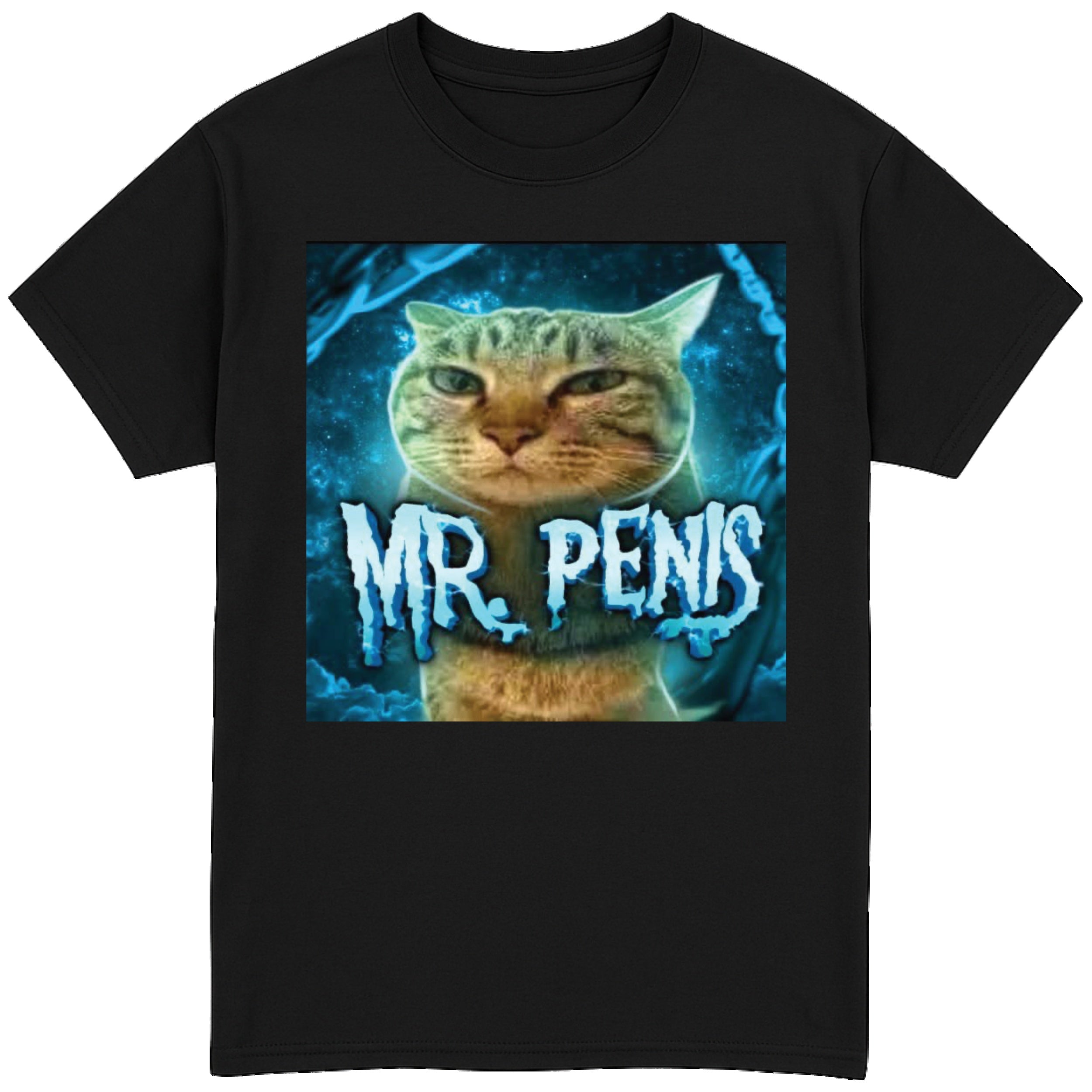 Mr Penis T-Shirt
