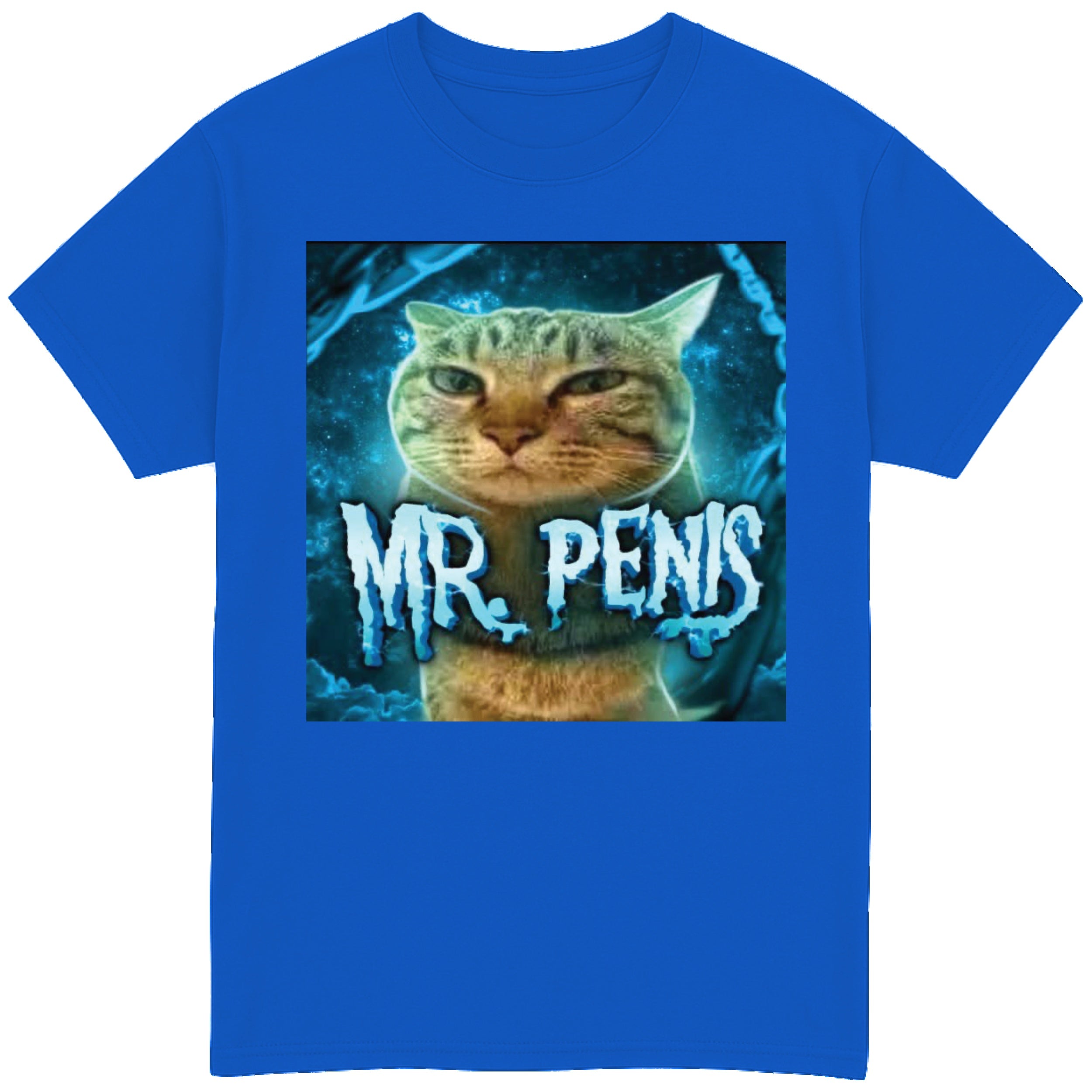 Mr Penis T-Shirt