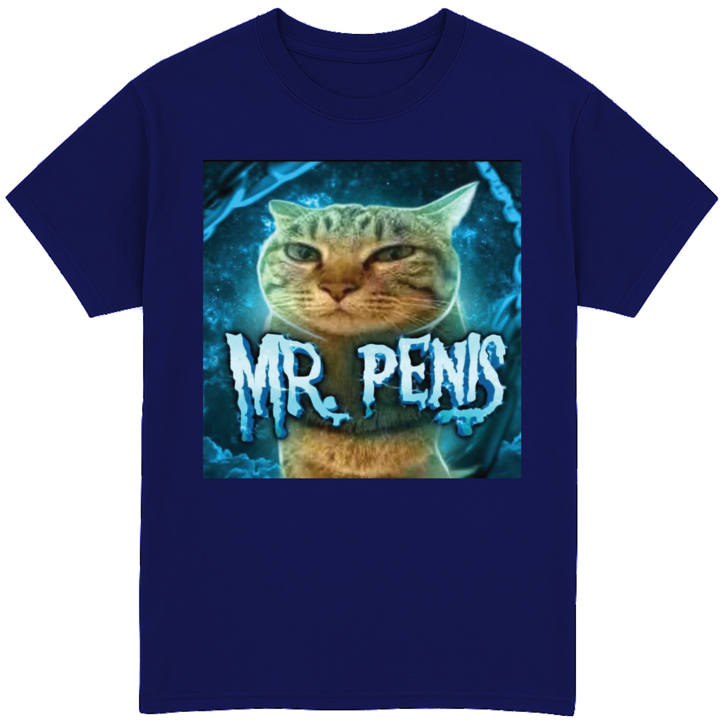 Mr Penis T-Shirt