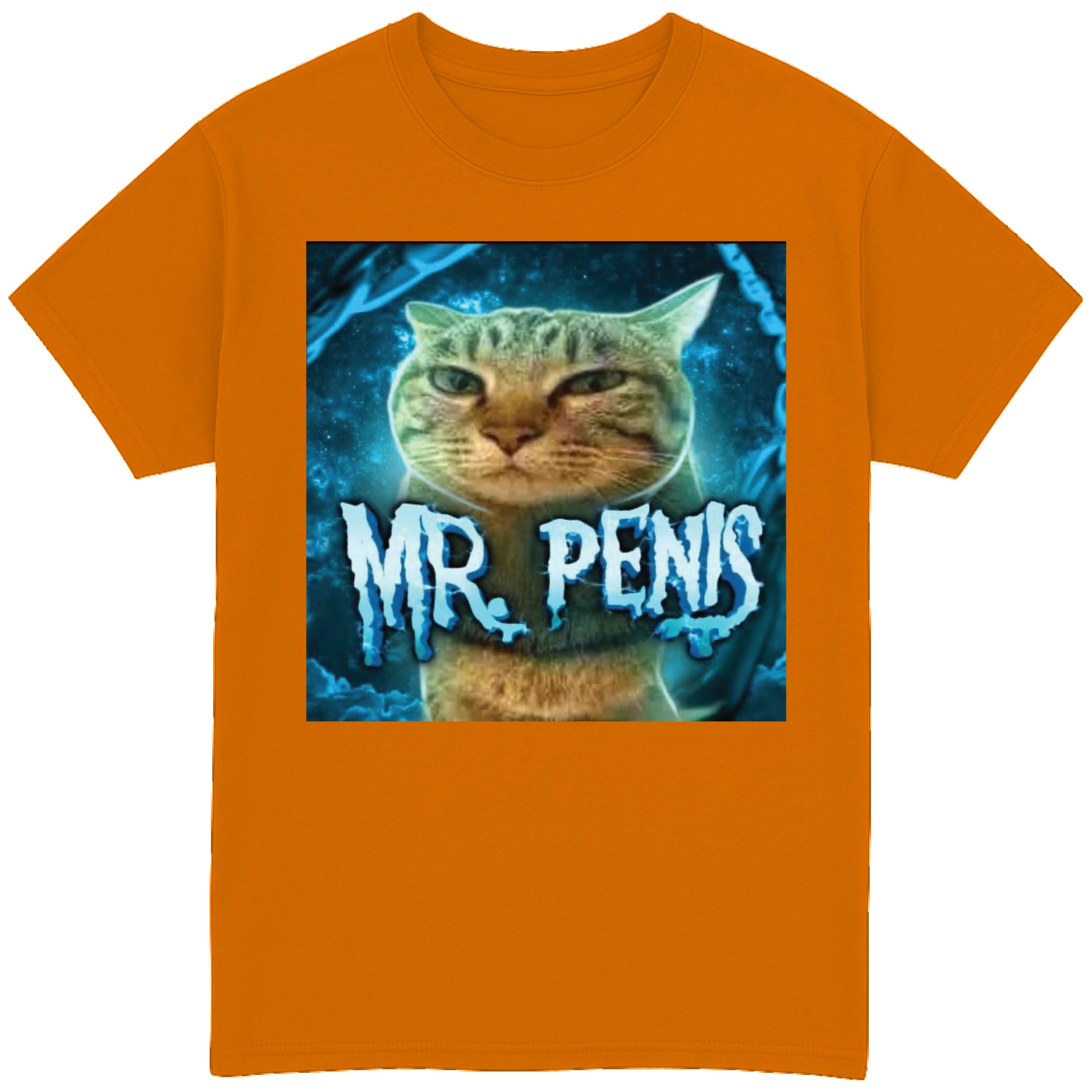 Mr Penis T-Shirt