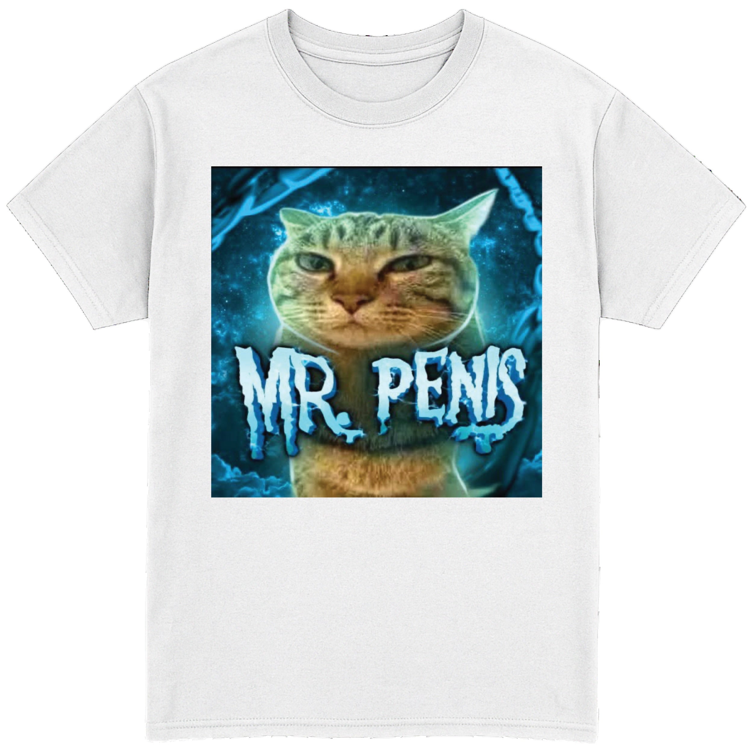 Mr Penis T-Shirt