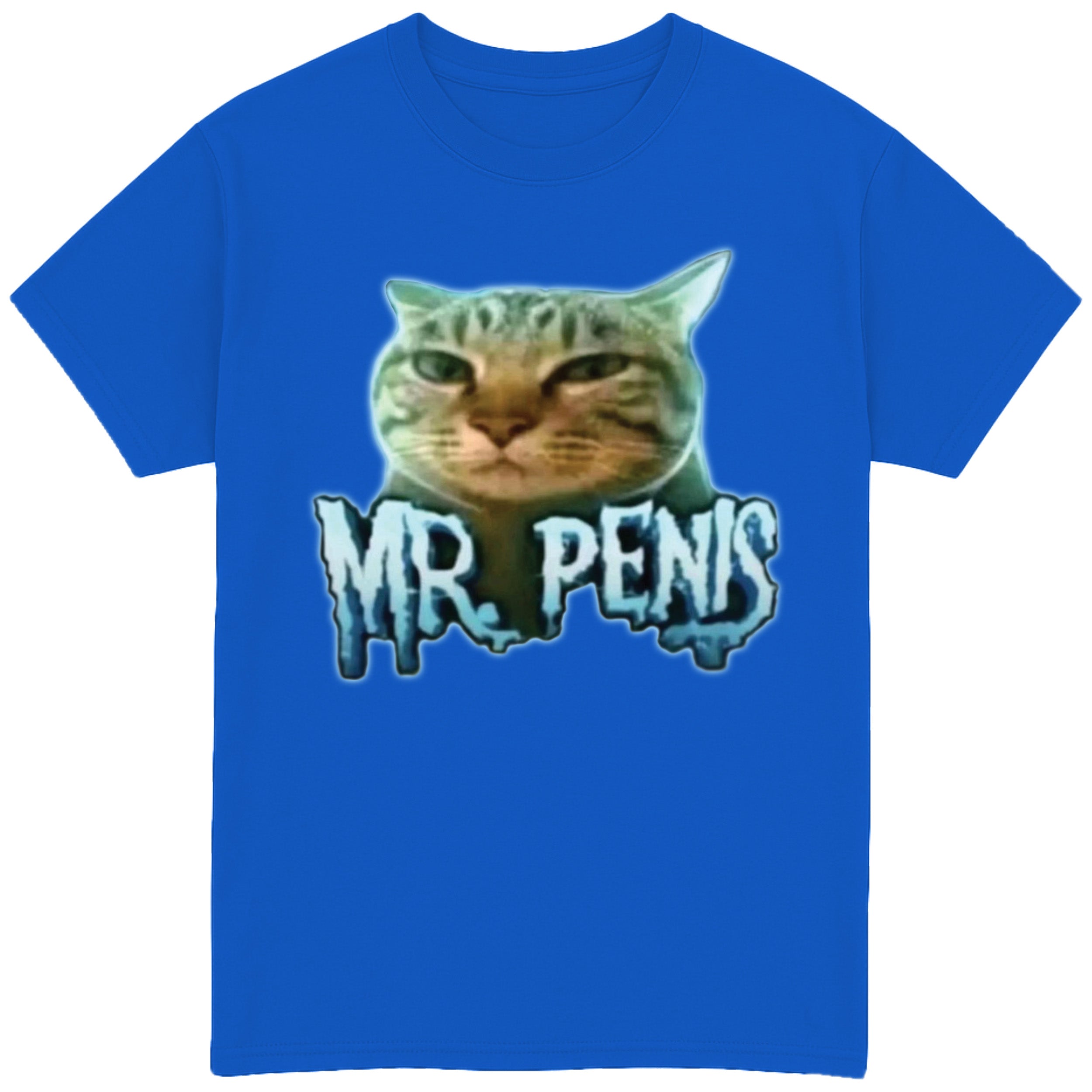 Mr Penis T-Shirt
