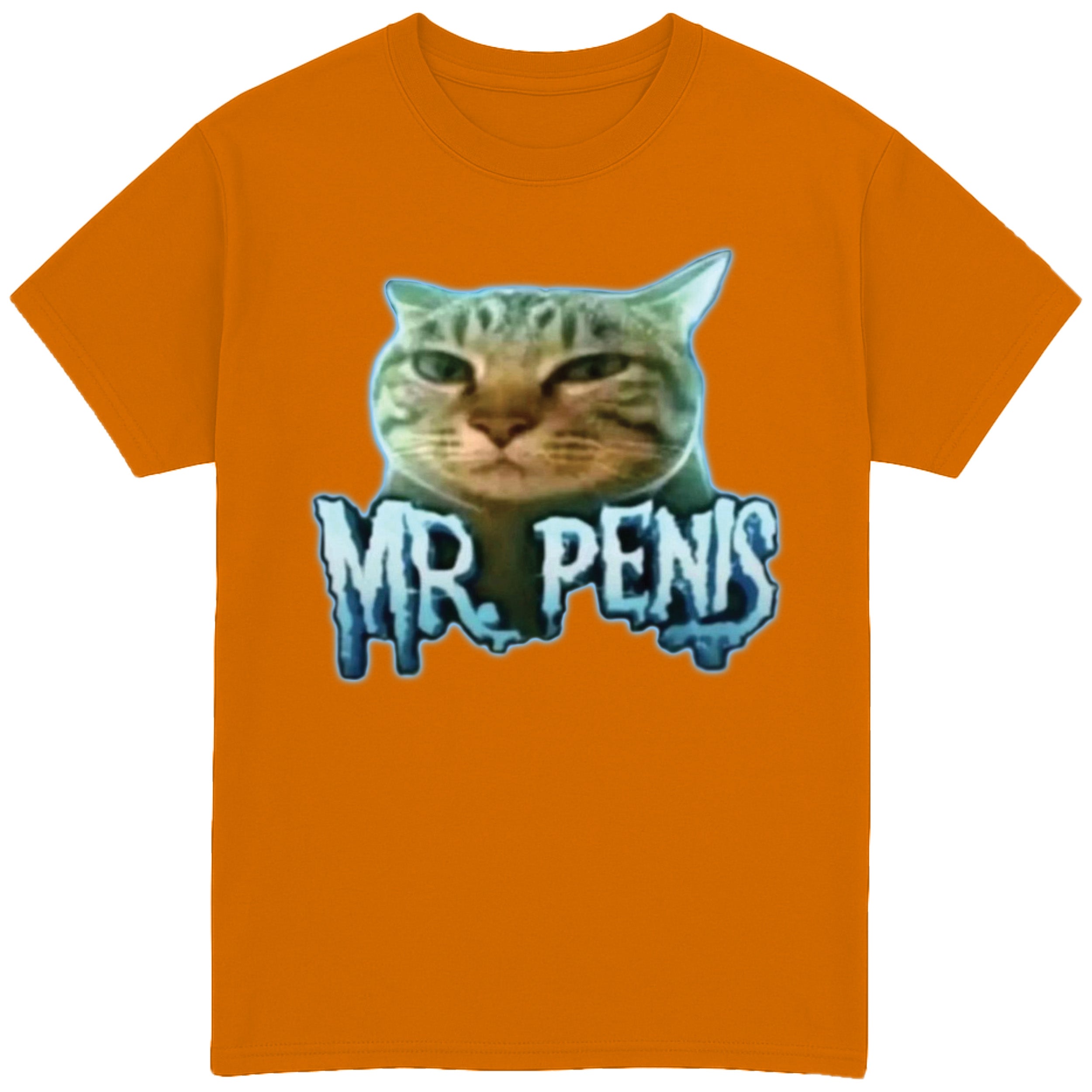 Mr Penis T-Shirt