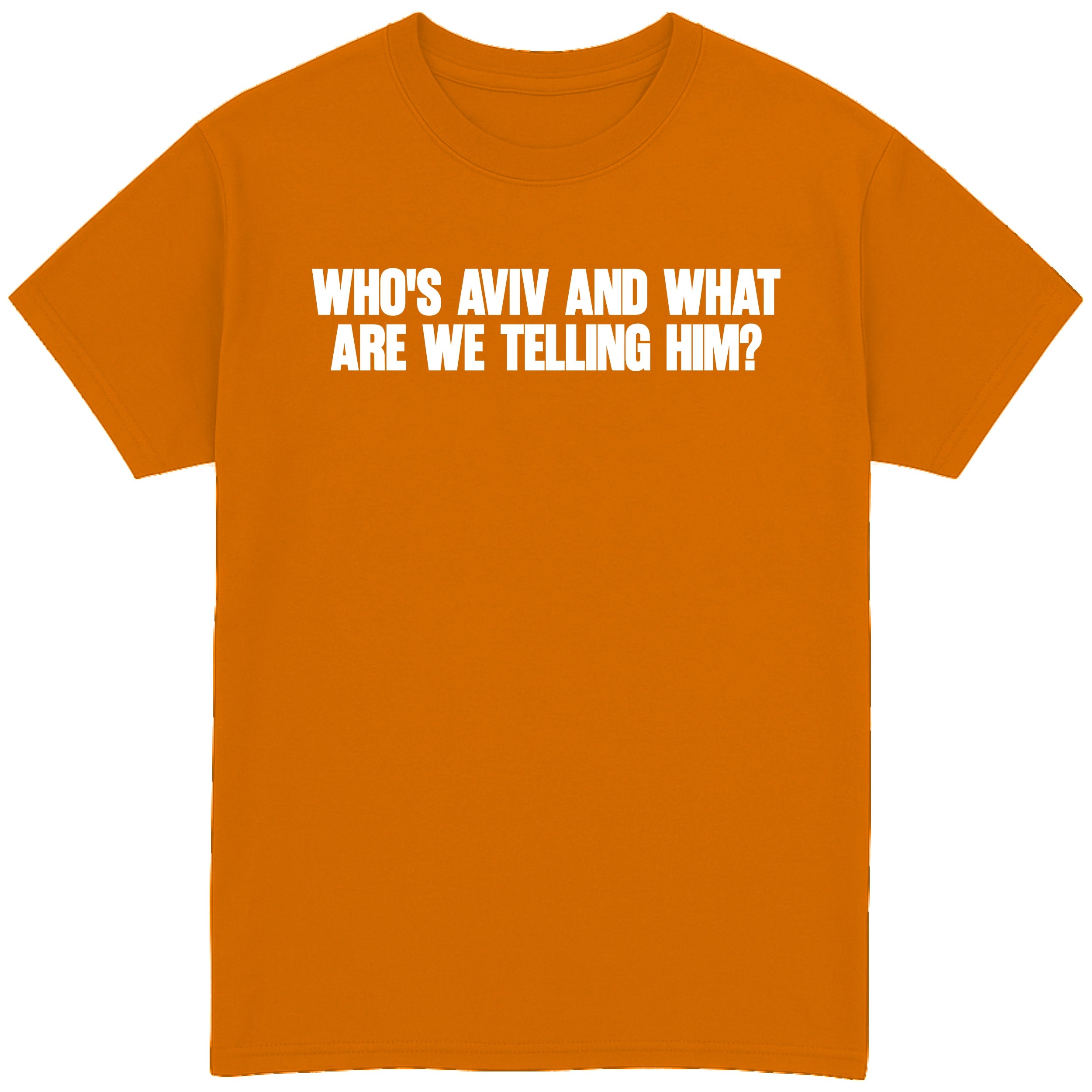 Who's Aviv and What are we Telling Him? T-Shirt