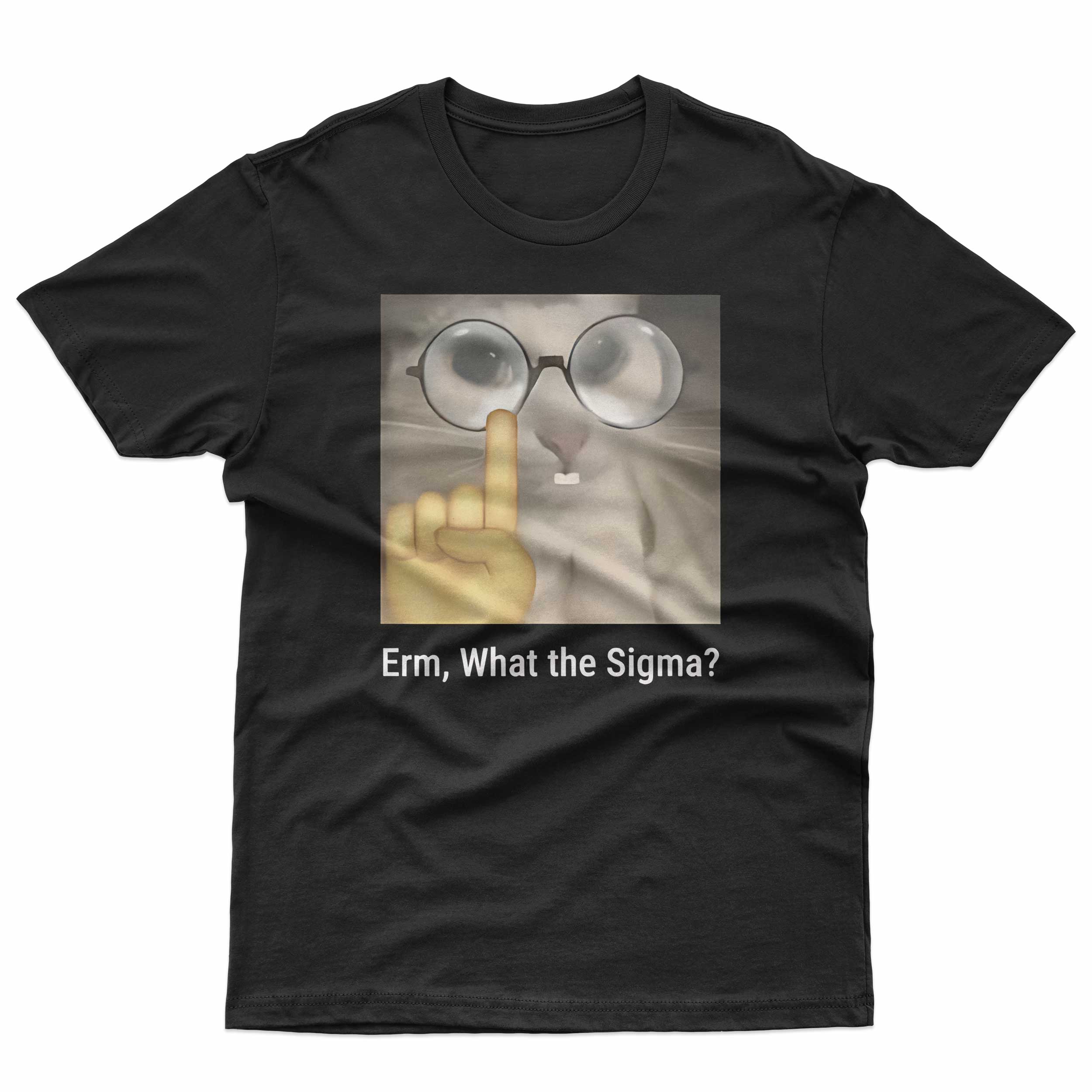 Erm, What The Sigma? T-Shirt