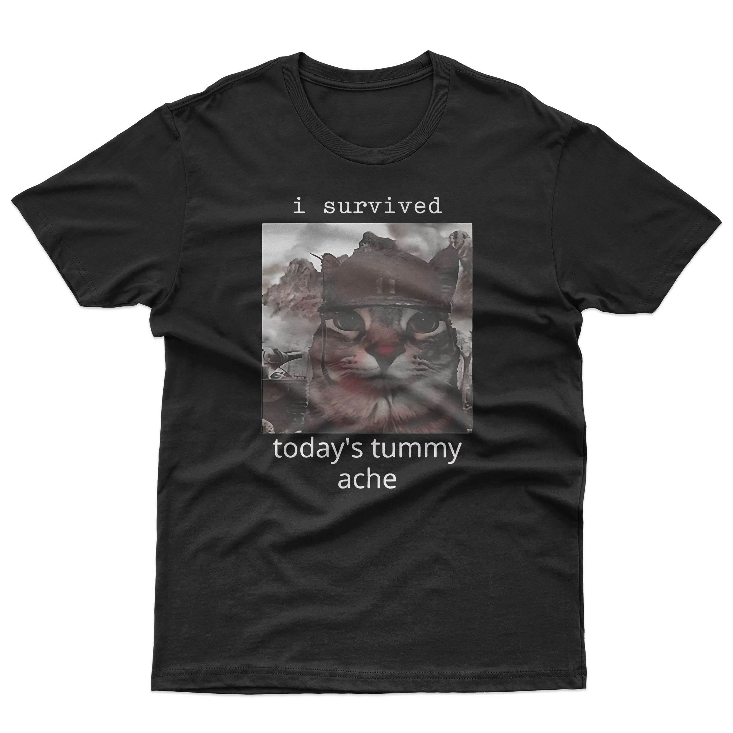 I Survived Today's Tummy Ache T-Shirt